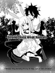 Strong Chase Weak Animato