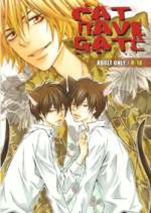 KHR Doujinshi - Cat Navigate