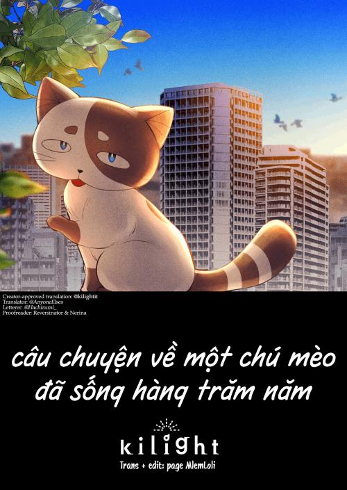 Câu chuyện về một chú mèo đã sống hàng trăm năm